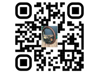 Die Alpha11 QR-Translator L&ouml;sung...