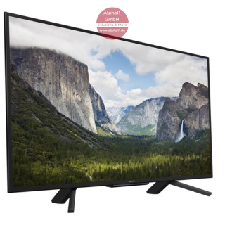 Monitor 43" für Digital Signage (Digitale Plakatierung/Speisekaten/Info-Screen/Kundenaufruf/Patientenaufruf)